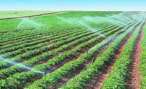 欧美骚逼17pp农田高 效节水灌溉